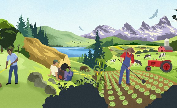 Land use illustration_Michael Crampton