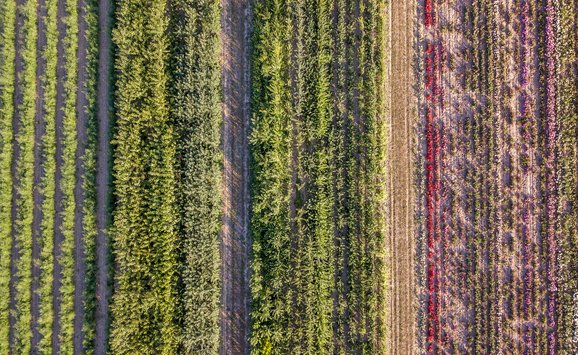 oti agriculture 7.08.21.jpg