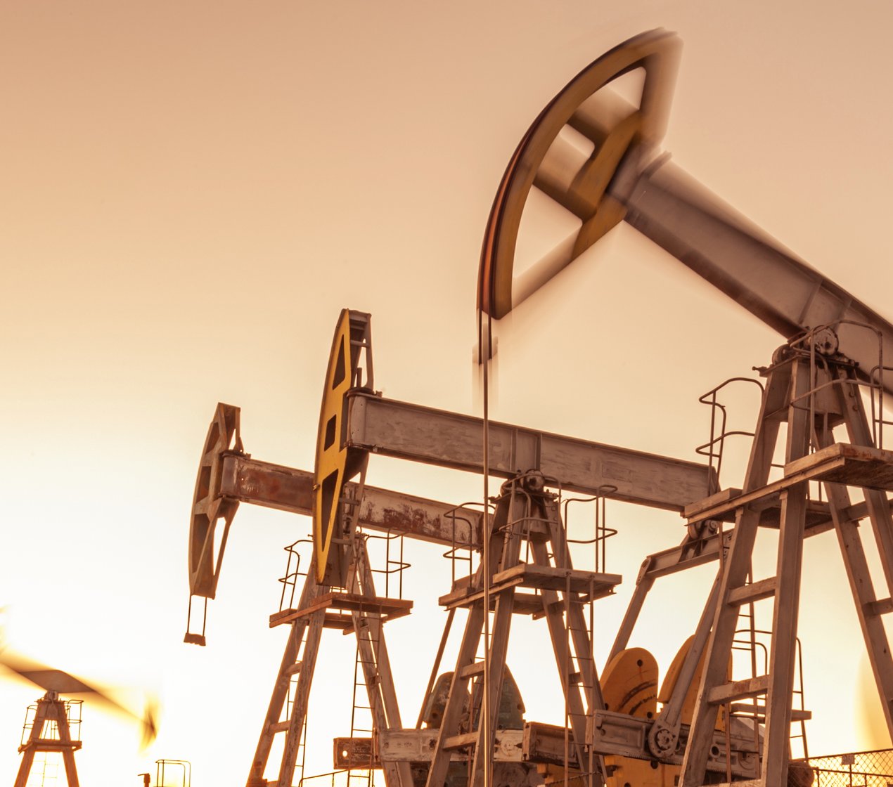 shutterstock_1751858627