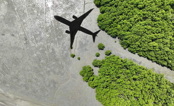 shutterstock_2459580673