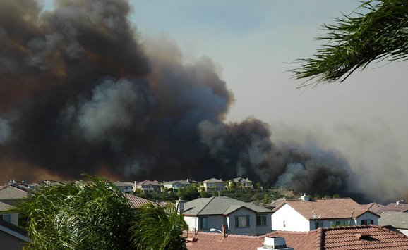 shutterstock_29898469