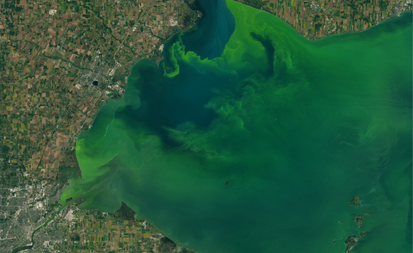 erie_oli_2017269_lrg