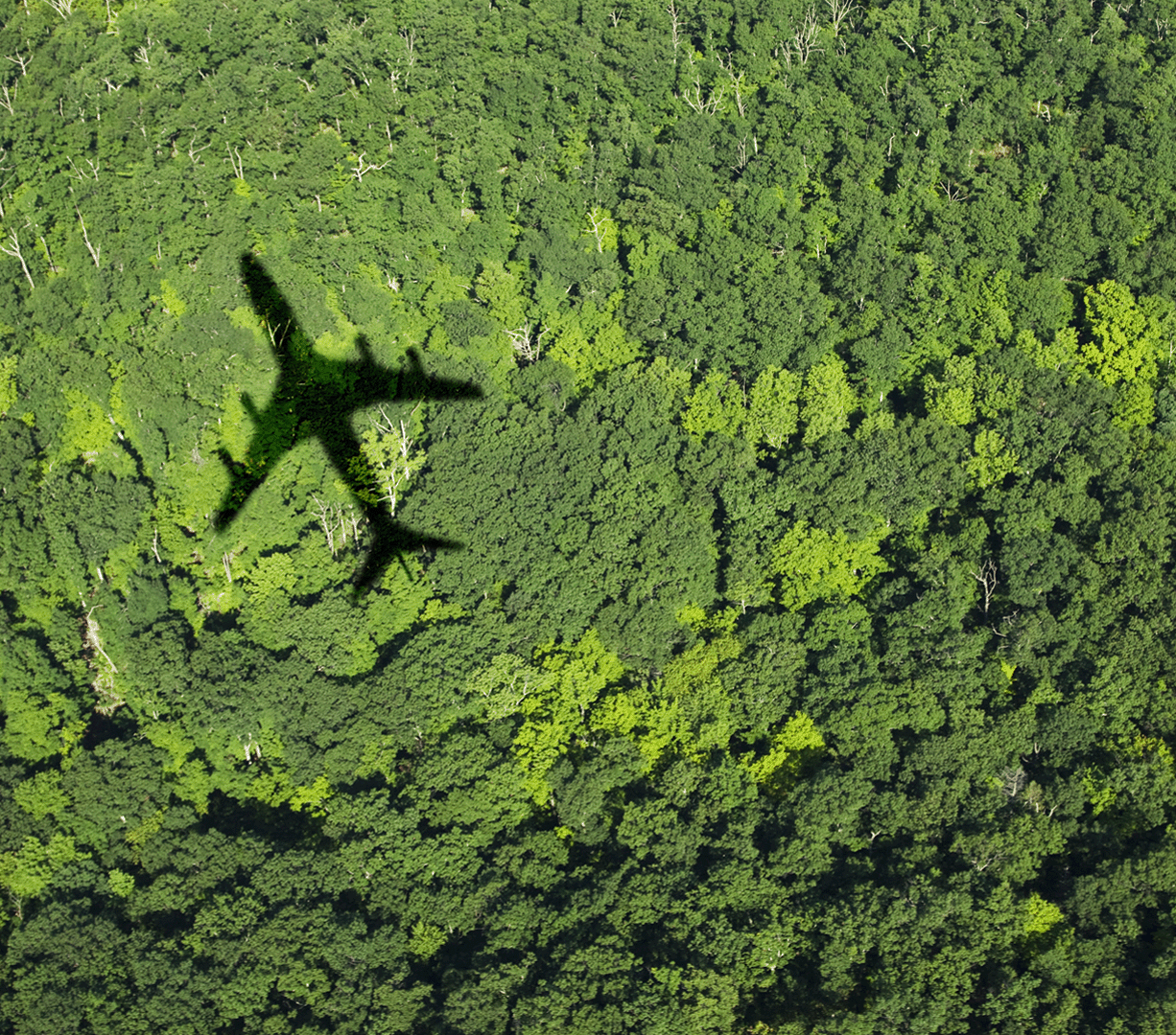 GettyImages-95495228