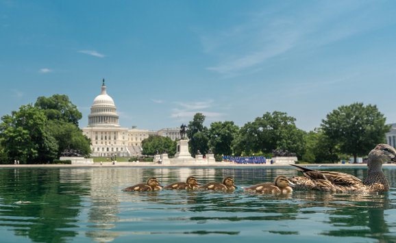 Issue 219 - Federal Climate Policy (16x9) - Getty Images 2228409117