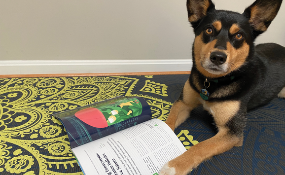 Resources Fur the Future - Taco