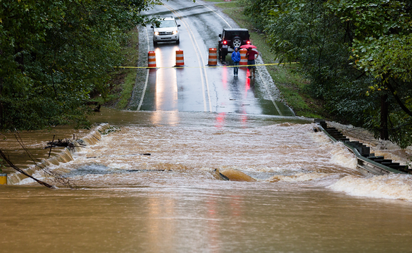 shutterstock_1181073832(1)