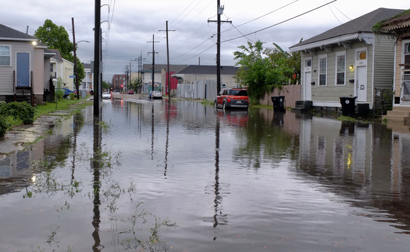 shutterstock_1395491198(1)