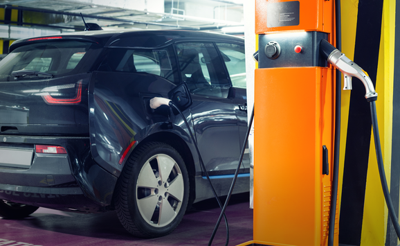 shutterstock_1658122264