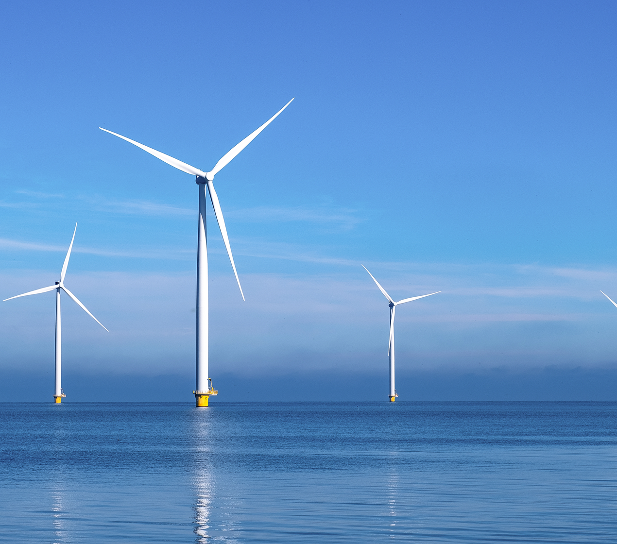 shutterstock_2360778773