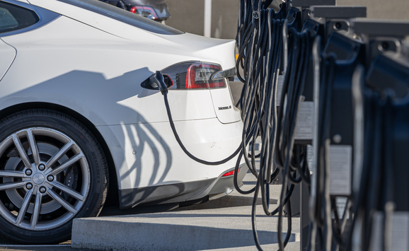 shutterstock_2473705699